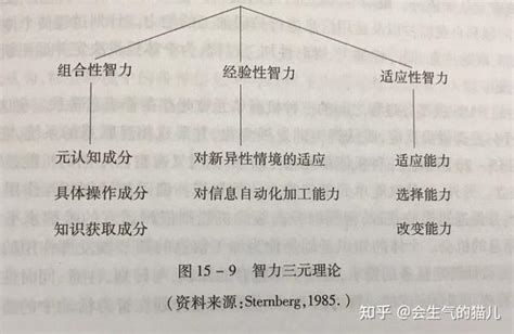 智力三元論口訣|智力三元论